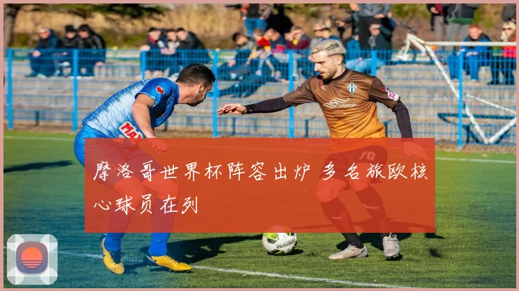 摩洛哥世界杯阵容出炉 多名旅欧核心球员在列