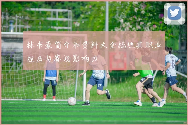 林书豪简介和资料大全梳理其职业经历与赛场影响力