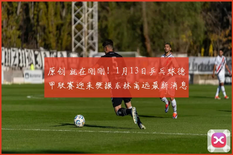 原创 就在刚刚！1月13日乒乓球德甲联赛迎来樊振东林高远最新消息