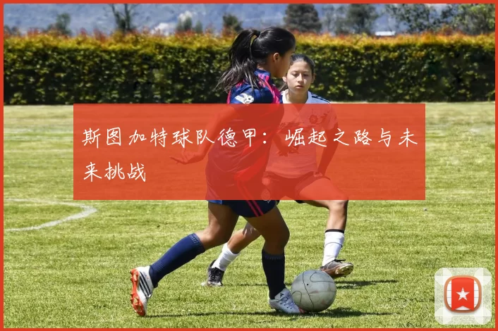 斯图加特球队德甲：崛起之路与未来挑战