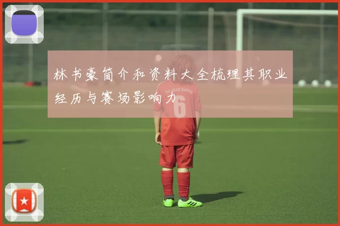 林书豪简介和资料大全梳理其职业经历与赛场影响力