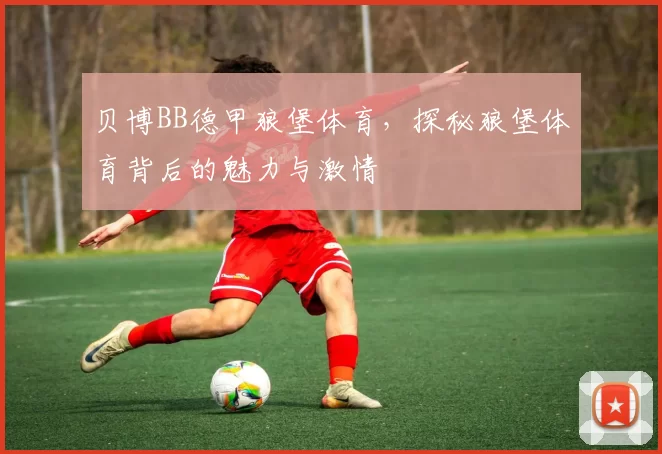 贝博BB德甲狼堡体育，探秘狼堡体育背后的魅力与激情