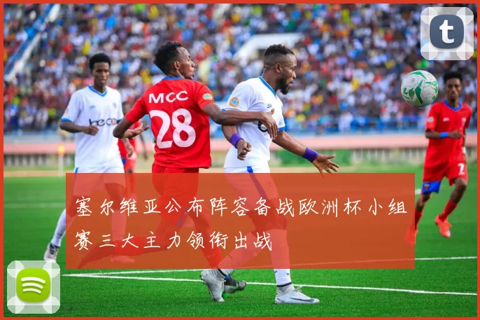 塞尔维亚公布阵容备战欧洲杯小组赛三大主力领衔出战