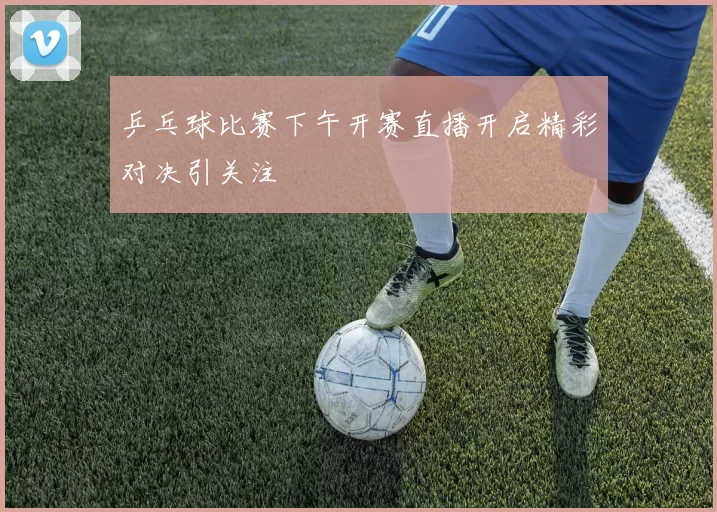 乒乓球比赛下午开赛直播开启精彩对决引关注